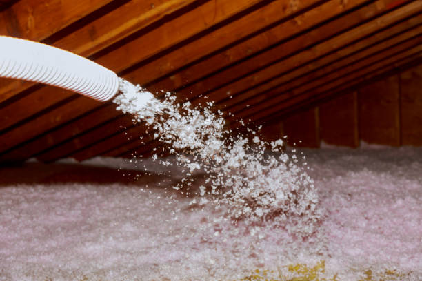 Best DIY Insulation Kits and Guidance in Pinehurst, MA