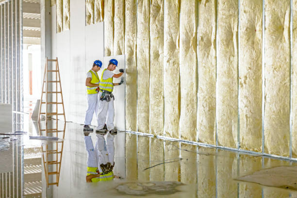 Best Fiberglass Insulation in Pinehurst, MA